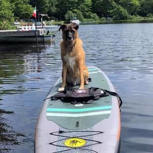 Meet your Posher, Tammy